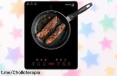 Placa de inducción Fagor Lexie 2000W con pantalla táctil, rebajada a un precio loco; cocina fácil y rápido. ¡Aprovecha este súper ofertón antes de que se agote!