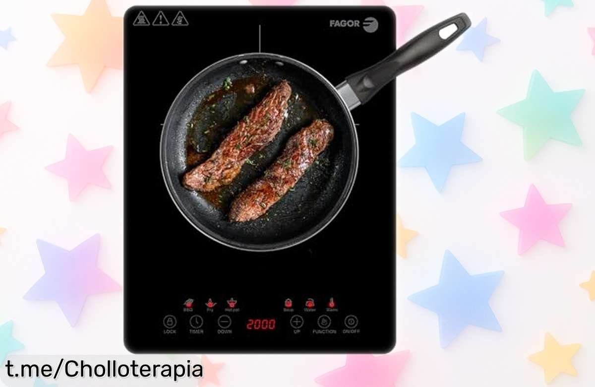 Placa de inducción Fagor Lexie 2000W con pantalla táctil, rebajada a un precio loco; cocina fácil y rápido. ¡Aprovecha este súper ofertón antes de que se agote!