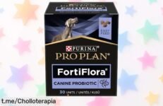Probiótico Fortiflora Cane Plus para perros, ¡descuento brutal en este súper chollo que mejorará su salud digestiva! No dejes pasar esta oportunidad y regálale bienestar hoy.