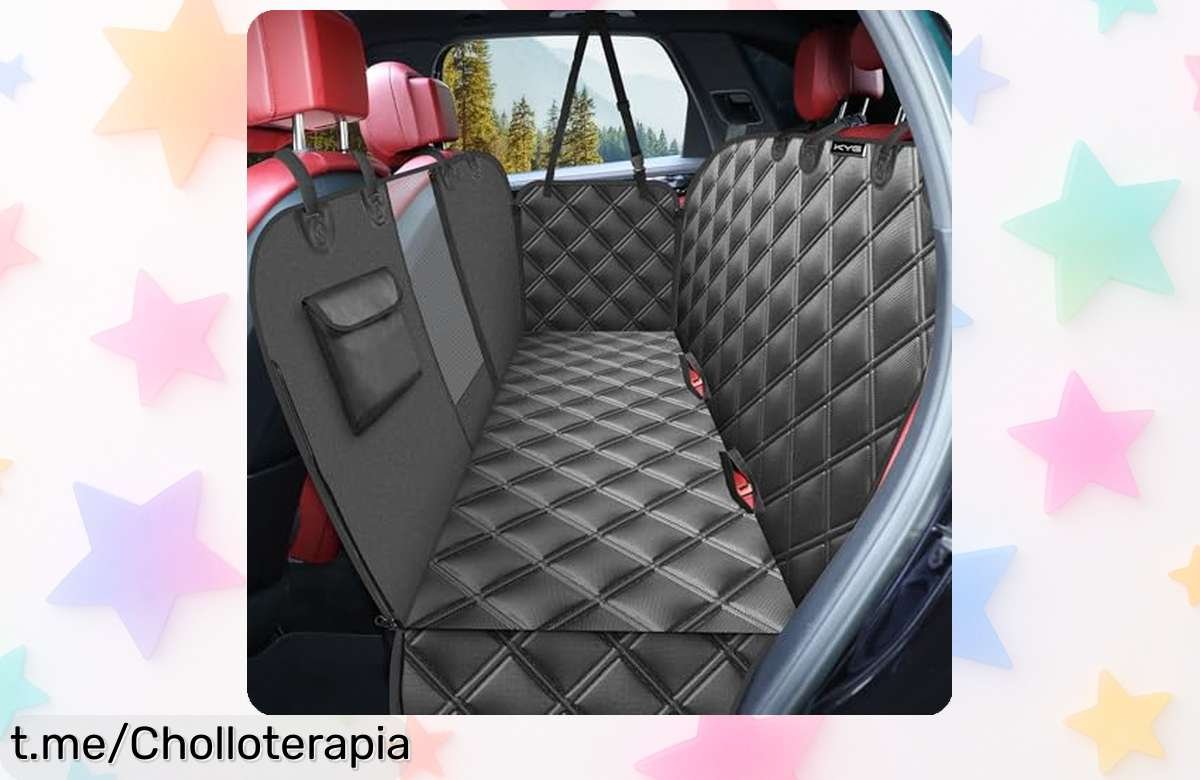 Protector de asiento para coche súper resistente y con ventana para ver a tu perro en Beloved Pets, ahora en precio rebajado por tiempo limitado ¡Renueva el viaje y aprovecha este ofertón antes que se agote!