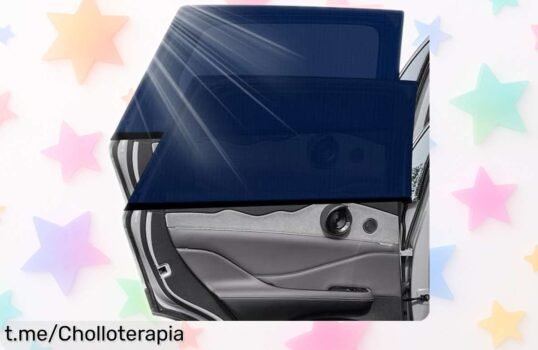 Sombrillas para coche Joyblossom 2 unidades con protección UV y bloqueo total de insectos en oferta exclusiva precio rebajado para que cuides a peques y peludos sin complicaciones ¡aprovecha antes que vuelen!