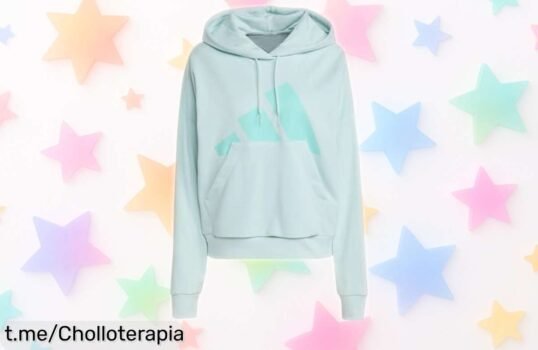Sudadera adidas mujer Essentials Big Logo XL con corte holgado y bolsillo canguro precio rebajado súper chollo única oportunidad que vuela ¡date prisa!