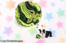 Tapete de olfateo para perros Andiker, el juguete que hará feliz a tu peludo y fortalecerá su vínculo contigo. No te lo pienses más, ¡aprovecha este super chollo antes de quedarte sin él!