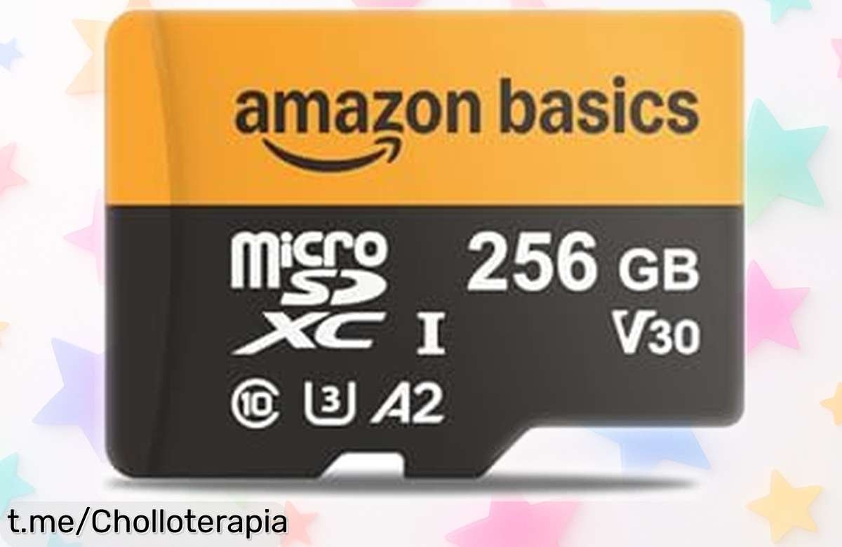 Tarjeta microSDXC Amazon Basics 256 GB súper rápida y resistente, precio rebajado espectacular por tiempo limitado, guarda tus fotos y vídeos sin límite ¡no dejes que esta oferta brutal se escape!