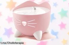 Bebedero fuente para gatos con bomba silenciosa y agua siempre fresca, ¡aprovecha este precio rebajadísimo! ¡Que tu gatito no se quede sin su momento de felicidad!