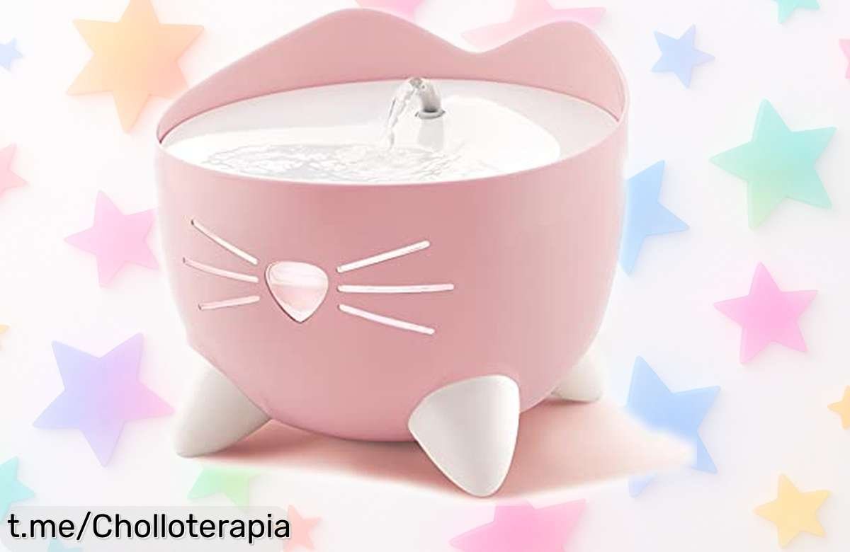 Bebedero fuente para gatos con bomba silenciosa y agua siempre fresca, ¡aprovecha este precio rebajadísimo! ¡Que tu gatito no se quede sin su momento de felicidad!