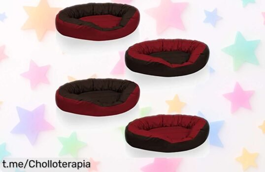 Cama para perro BedDog® 4en1, moderna y resistente: ¡rebajada a un precio loco! Haz feliz a tu peludo antes de que se acabe esta oportunidad única.