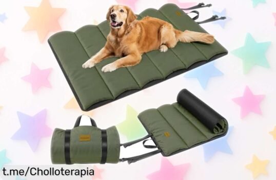 Cama para perro de exterior Gimars, ligera y portátil con base antideslizante a un precio rebajado que no verás dos veces: ¡haz feliz a tu peludo antes de que se agoten!