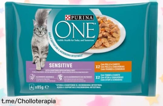 Comida húmeda Purina One Sensitive para gatos en oferta: 12 packs de 4 sobres a precio rebajado, ¡regálale a tu peludo el sabor que se merece ya!