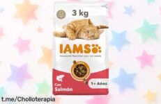 Comida seca para gatos adultos con salmón en un super chollo, cuida su piel y músculos: ¡dale salud y energía a tu mejor amigo antes de que se acabe!