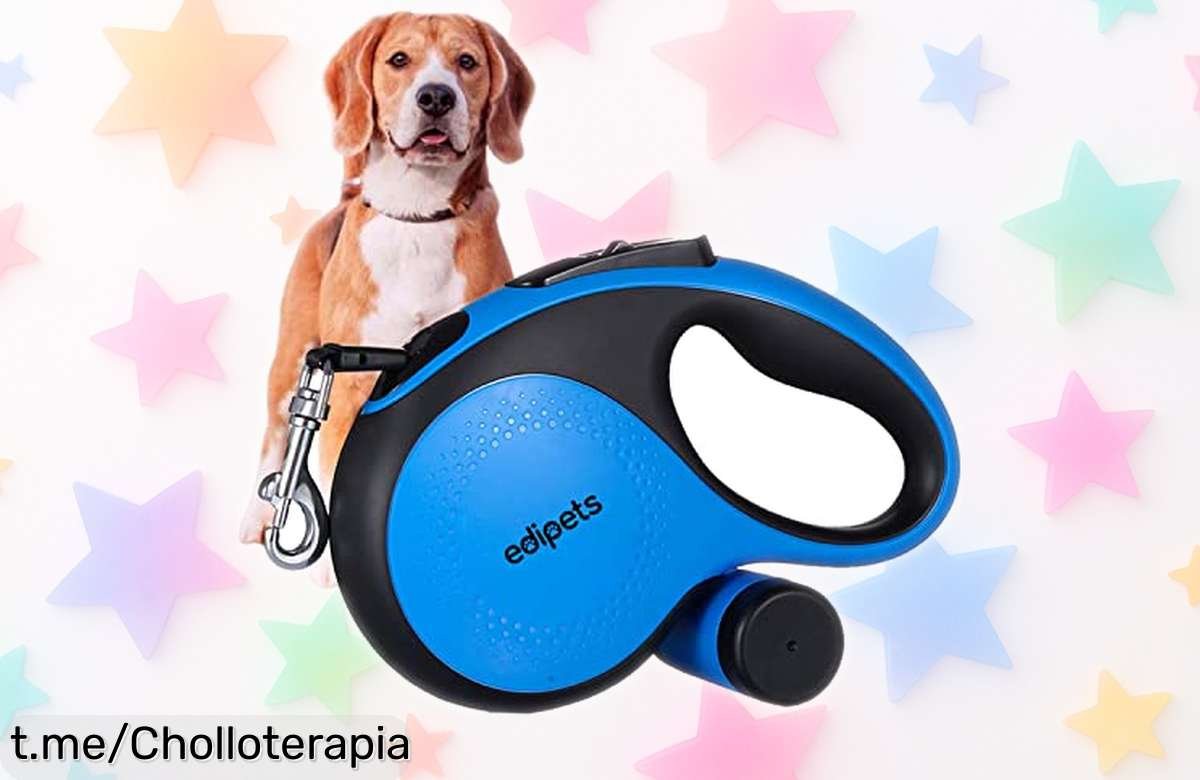 Correa extensible para perro Edipets, súper resistente y con bloqueo rápido: ¡ofertón imperdible para paseos sin preocupaciones! Haz feliz a tu amigo peludo hoy mismo.