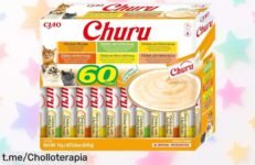 Deliciosos premios para gatos CHURU Inaba 60x14g con descuento brutal, ¡acorralarás a tu felino de gusto! Corre y aprovecha este super chollo que no se repite.