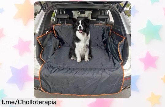 Forro impermeable para carga de SUV ideal para perros, chollo recién rebajado. ¡Protege tu coche y viaja sin preocupaciones mientras cuidas a tu peludo! ¡No te quedes sin el tuyo!