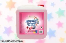 Friegasuelos Kimia Red Berries 5L a precio loco: transforma tu hogar en un oasis de frescura. ¡Aprovecha este chollo antes que se acabe y disfruta la limpieza!