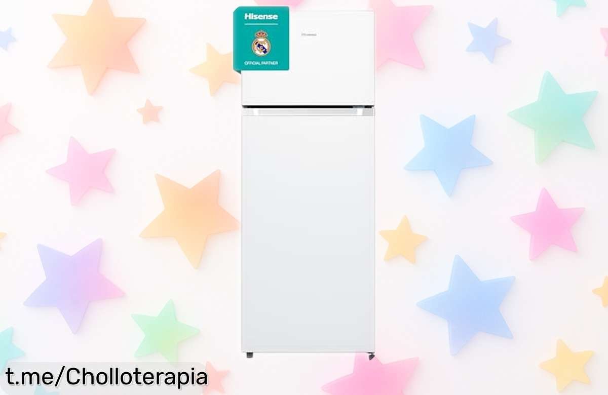 Frigorífico dos puertas Hisense MTM55205E con cajón especial para frutas frescas y precios locos: ¡no te quedes sin él, las mejores oportunidades son para quien actúa rápido!