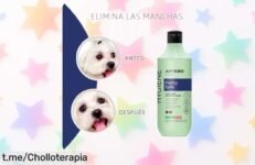 Limpia las manchas de tu perro o gato con el limpiador Artero Pretty Eyes, ¡oferta rebajada para que luzca impecable antes de que se agote!