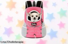 Mochila Pawaboo para perros con seguridad y ventilación perfectas, ahora a precio rebajado que no puedes dejar pasar. ¡No dejes atrás las aventuras!