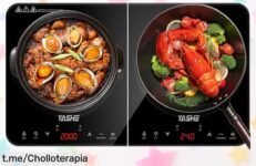 Placa de inducción doble YASHE: ¡cocina al mismo tiempo, fácil de limpiar y con bloqueo de seguridad! Super chollo rebajado, dale vida a tu cocina antes que se agote.