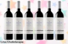 Vino tinto Pago del Cielo Celeste Roble: 6 botellas de pasión intensa a un precio loco, ¡sorprende en cada comida y disfruta antes que se acabe esta oferta!