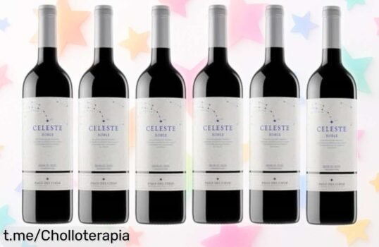 Vino tinto Pago del Cielo Celeste Roble: 6 botellas de pasión intensa a un precio loco, ¡sorprende en cada comida y disfruta antes que se acabe esta oferta!
