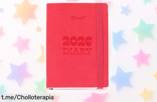 Agenda anual 2026 pocket rosa con vista semanal, chollo rebajado para que organices tu año con alegría y pegatinas; ¡aprovecha esta oportunidad única antes de que se esfume!