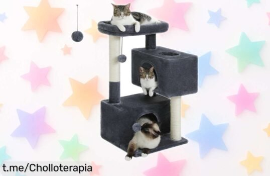 Árbol rascador gigante para gatos con plataforma y torre irresistible a precio rebajado de locura, haz feliz a tu peludo antes de que se acabe este super chollo