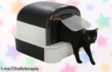 Arenero grande PAWZ con tapa y pala, ¡super chollo a precio rebajado! Controla los olores y cuida de tu gato como se merece, no esperes más para darle su espacio ideal.