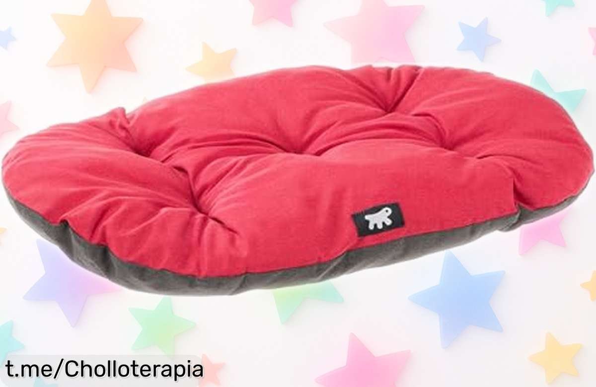 Cama Ferplast para perros y gatos, ¡rebajada! Doble cara lavable y acolchado suave en 6 tamaños ideales: la oportunidad que tu peludo estaba esperando.