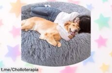 Cama antiestrés tipo donut para mascotas en gris oscuro, ¡super chollo rebajado por tiempo limitado! Dale a tu peludo el descanso que se merece y haz su rincón especial hoy mismo.