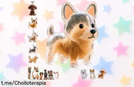 Cápsula de resina con pelo de tu mascota, un recuerdo único y especial a precio rebajado; ¡no te quedes sin el tuyo antes de que se acabe esta oferta irrepetible!