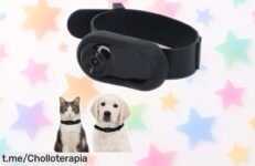 Captura los momentos más divertidos con la cámara para collar de mascotas, ahora en un super chollo que no te puedes perder, ¡siente la diversión al instante y corre antes que se agoten!