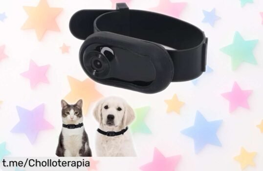Captura los momentos más divertidos con la cámara para collar de mascotas, ahora en un super chollo que no te puedes perder, ¡siente la diversión al instante y corre antes que se agoten!