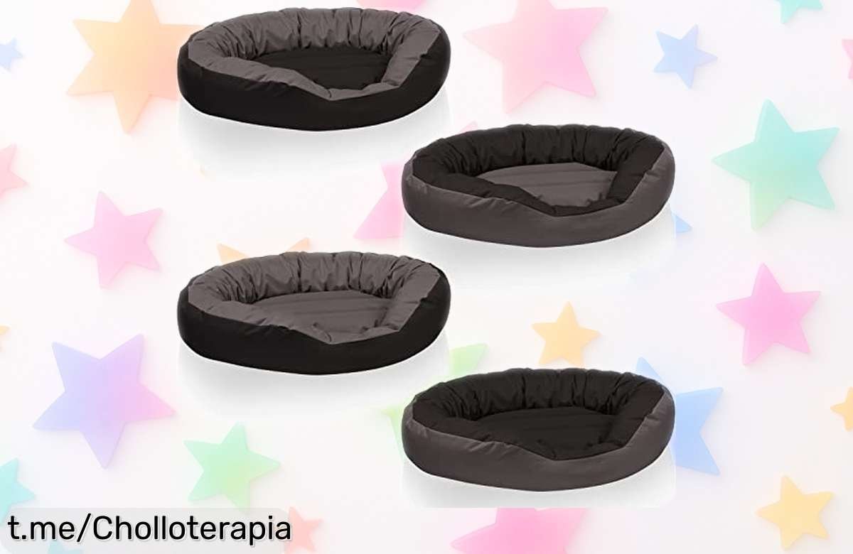 Colchón para perro BedDog 4en1, diseño moderno y funda lavable a precio muy bajo: chollazo que hará feliz a tu mejor amigo. ¡Corre antes de que se agoten!