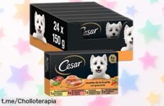 Deliciosa comida húmeda para perros Cesar en pack de 24 tarrinas. ¡Sabor y salud a un precio rebajado que tu mejor amigo merece! No lo dejes pasar, dale alegría hoy mismo.