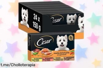 Deliciosa comida húmeda para perros Cesar en pack de 24 tarrinas. ¡Sabor y salud a un precio rebajado que tu mejor amigo merece! No lo dejes pasar, dale alegría hoy mismo.