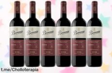 Descubre el vino tinto Beronia Crianza Rioja en pack de 6 botellas a precio rebajado y disfruta esos momentos únicos que tanto mereces ¡No te quedes sin él, corre que vuelan!