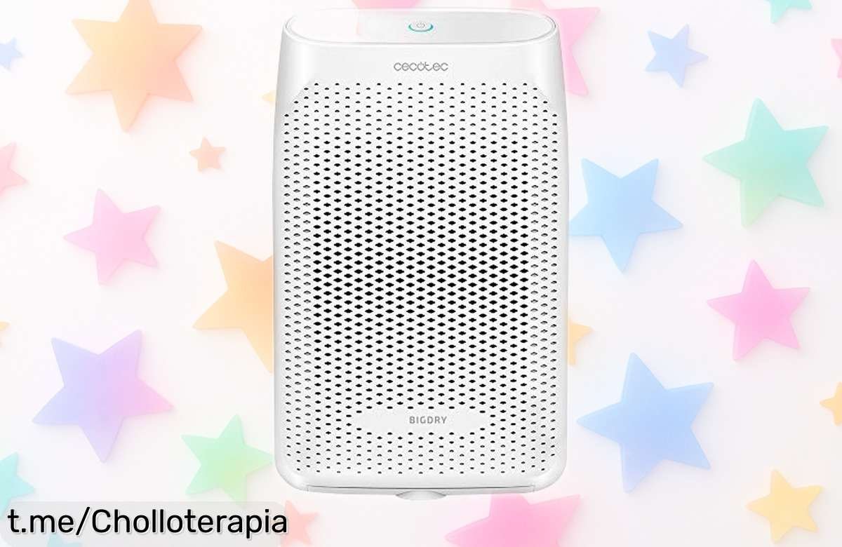 Deshumidificador eléctrico Cecotec BigDry: el súper chollo que elimina la humedad sin ruido, aprovecha el precio rebajado y siente tu hogar más fresco ¡No lo dejes escapar!
