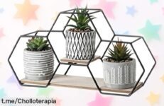 Juego de 3 plantas suculentas artificiales con maceta, un super chollo para animar tu espacio que no perderá color. ¡Aprovecha esta rebaja y dale estilo a tu rincón ya!