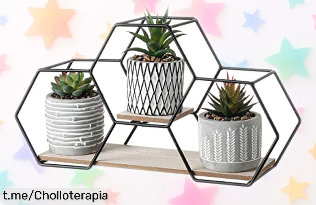 Juego de 3 plantas suculentas artificiales con maceta, un super chollo para animar tu espacio que no perderá color. ¡Aprovecha esta rebaja y dale estilo a tu rincón ya!