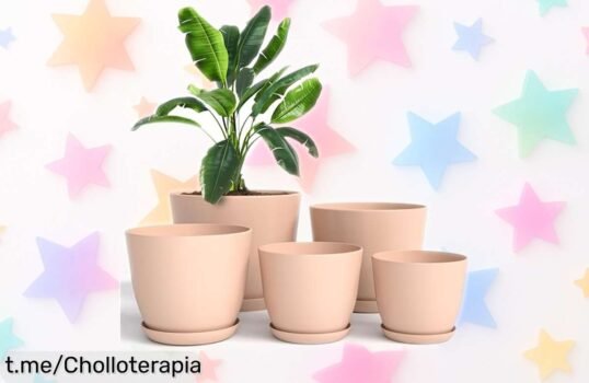Macetas rosas con platillo que cuidan tus plantas y decoran cualquier rincón a precio rebajado, ¡aprovecha este super chollo y dale vida a tu hogar hoy mismo!