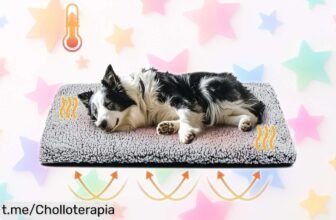 Manta de invierno antideslizante para mascotas con almohadilla autocalentable a precio muy bajo, un super chollo que hará felices a tus peluditos sin frío ni preocupaciones.