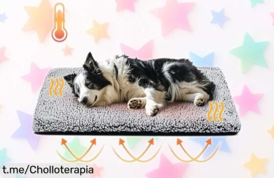 Manta de invierno antideslizante para mascotas con almohadilla autocalentable a precio muy bajo, un super chollo que hará felices a tus peluditos sin frío ni preocupaciones.