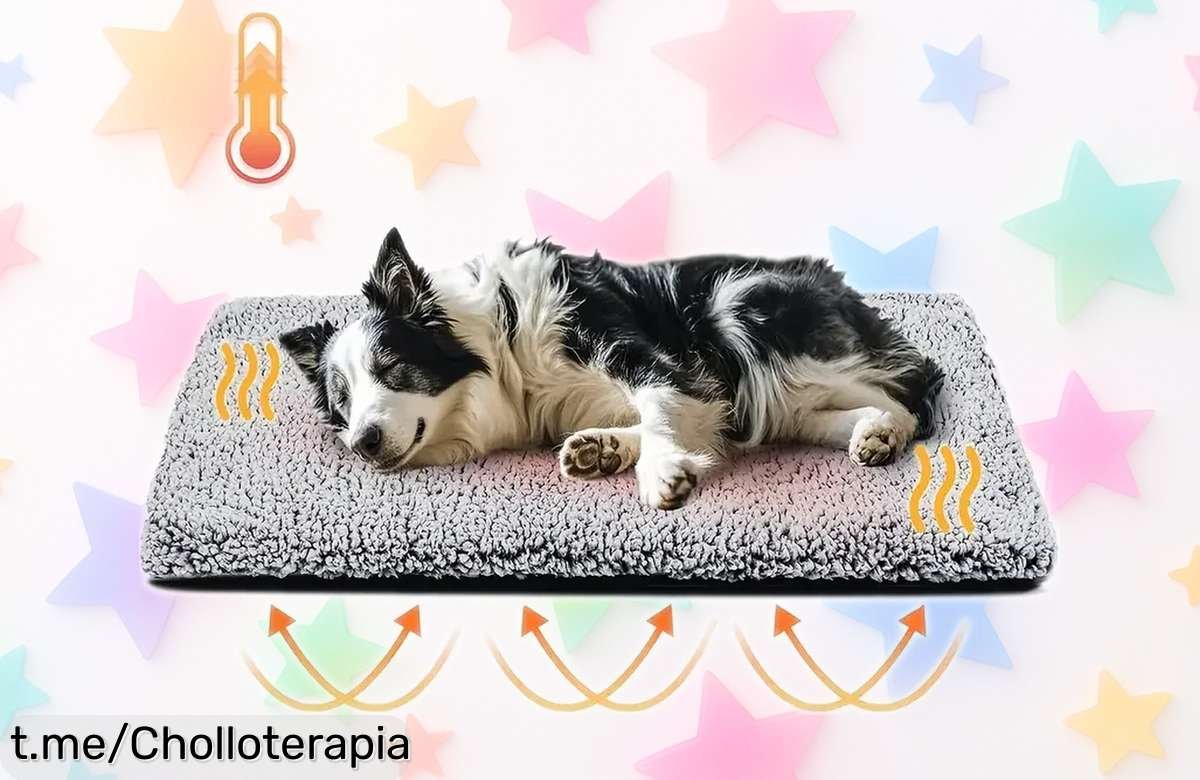 Manta de invierno antideslizante para mascotas con almohadilla autocalentable a precio muy bajo, un super chollo que hará felices a tus peluditos sin frío ni preocupaciones.