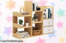 Organizador de estantería de escritorio con 2 puertas, ¡rebajado a un precio loco! Consigue este super chollo y transforma tu espacio en un lugar ordenado y lleno de estilo.