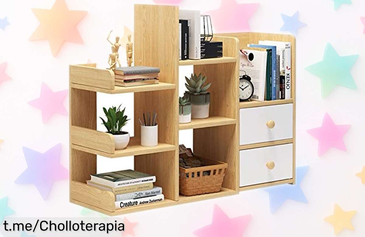 Organizador de estantería de escritorio con 2 puertas, ¡rebajado a un precio loco! Consigue este super chollo y transforma tu espacio en un lugar ordenado y lleno de estilo.
