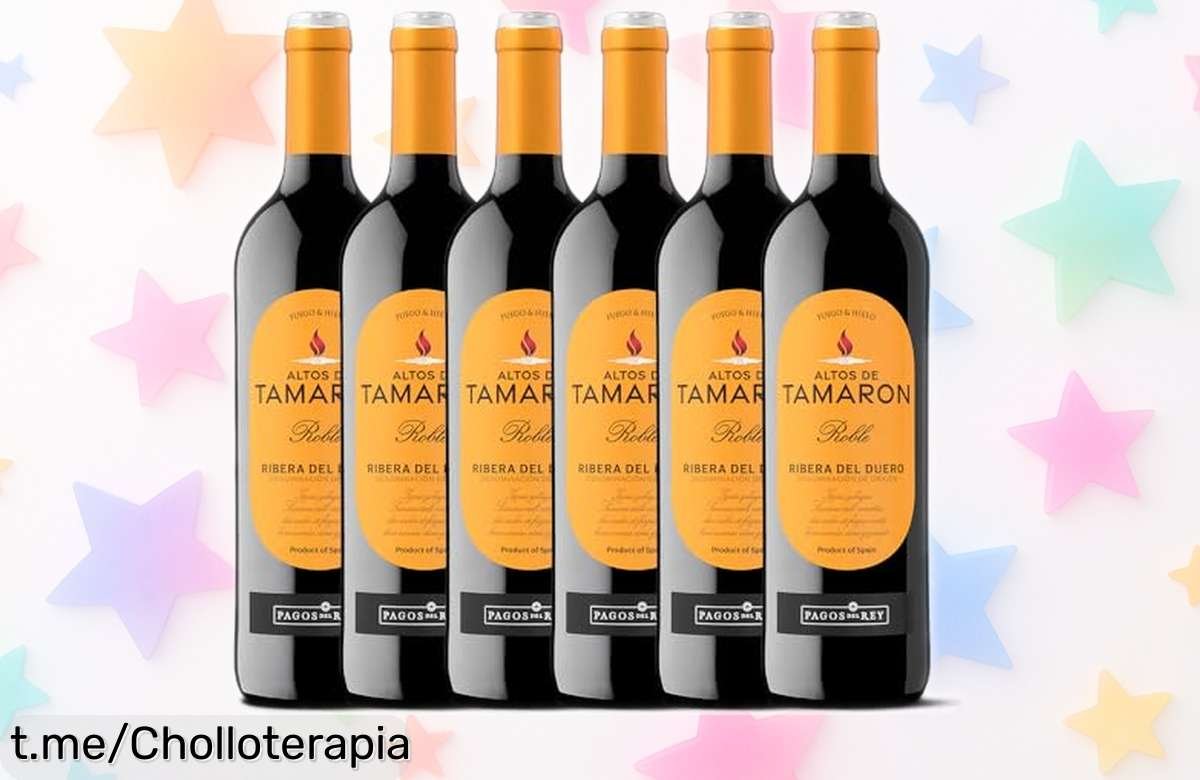 Pack de 6 vinos Altos de Tamaron Ribera del Duero a precio rebajado; sabor intenso y notas únicas que harán tus momentos inolvidables. ¡No te quedes sin el tuyo!