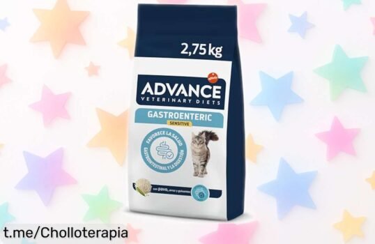 Pienso para gatos con tripa sensible de calidad premium, ahora a precio muy bajo: un super chollo que tu gato y tú merecen. ¡No te quedes sin el tuyo!
