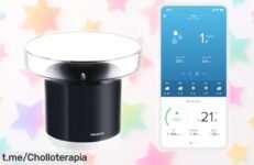 Pluviómetro inalámbrico Netatmo que mide la lluvia en tiempo real y te avisa al móvil, ¡super chollo rebajado! No dejes pasar esta oportunidad única para estar siempre preparado.