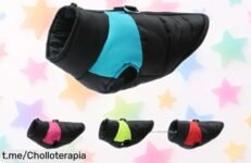 Ropa de invierno para perros grandes y pequeños: abrígate con este super chollo que tu mascota no se puede perder. ¡Cuida a tu mejor amigo antes de que desaparezca!