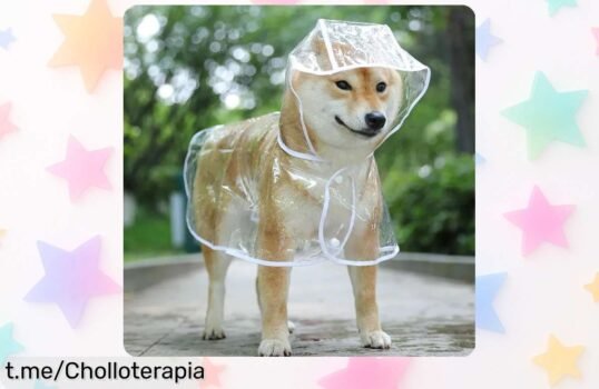 Ropa impermeable transparente para perros pequeños con capucha a precio rebajado, ¡asegura que su diversión nunca se detenga y sorpréndelo con este chollo!